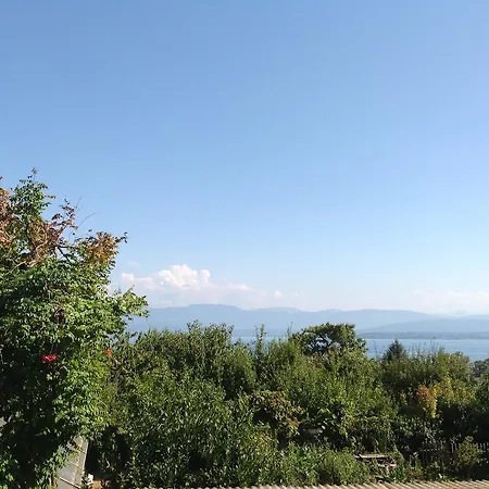 Πανδοχείο De
