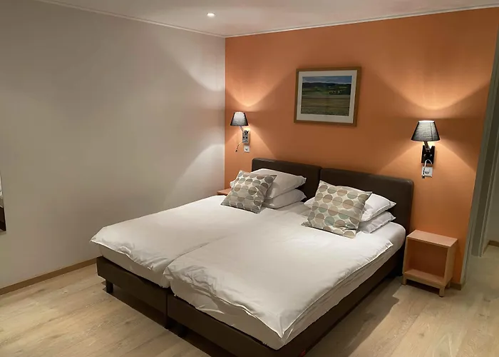 De Mini-hôtel Dully